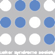 Logo asociación Usher Syndrome Society